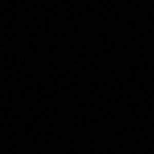 Meet your Posher, Rae